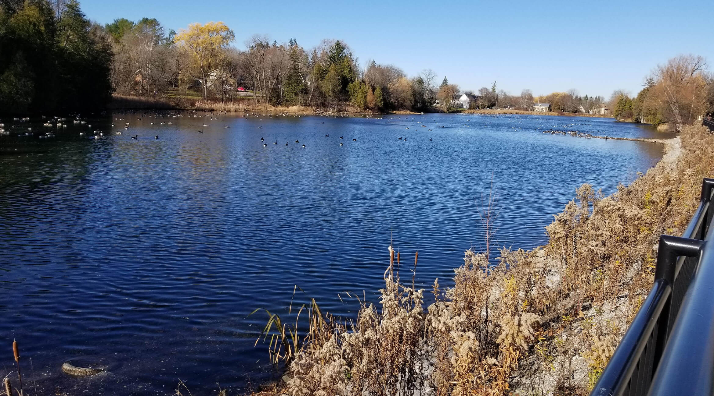 Low & Low Funeral Home Uxbridge ON and Port Perry ON funeral home and