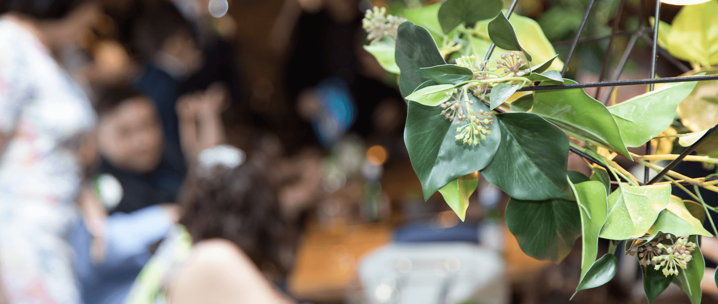 Leavitt's Mortuary Ogden UT funeral home and cremation