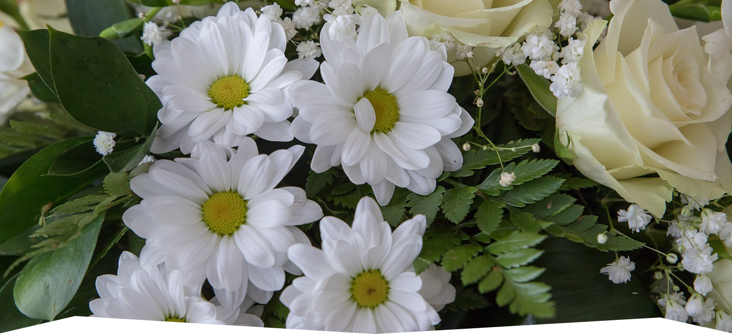 Header Graphic