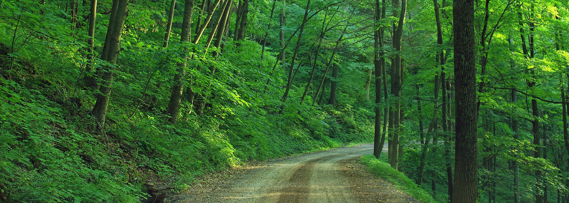 Louis E. Rudolph Funeral Home Marion PA funeral home and cremation