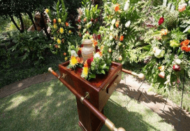 site image