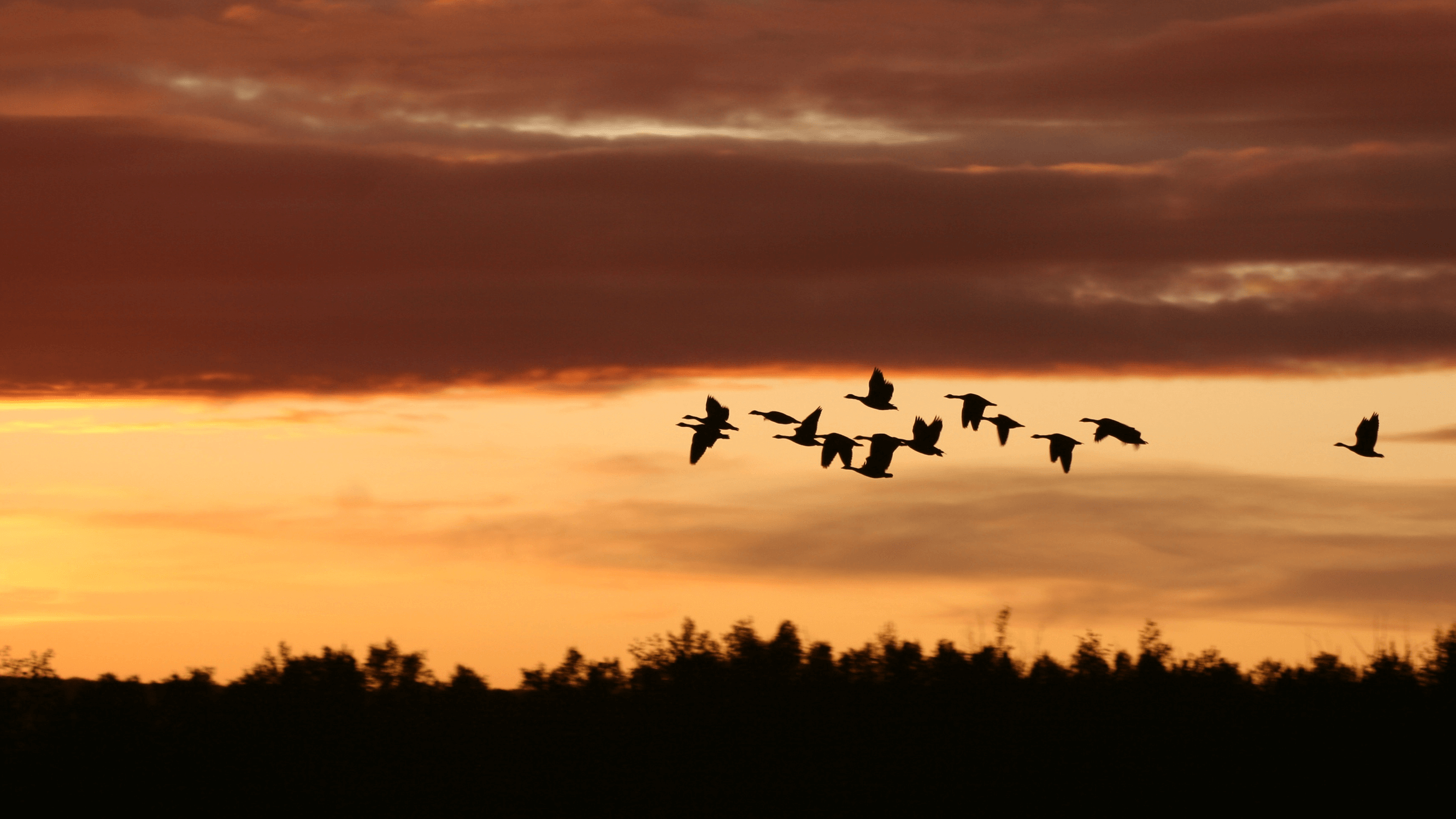 MertenButler Mortuary Inc Blue Hill NE funeral home and cremation