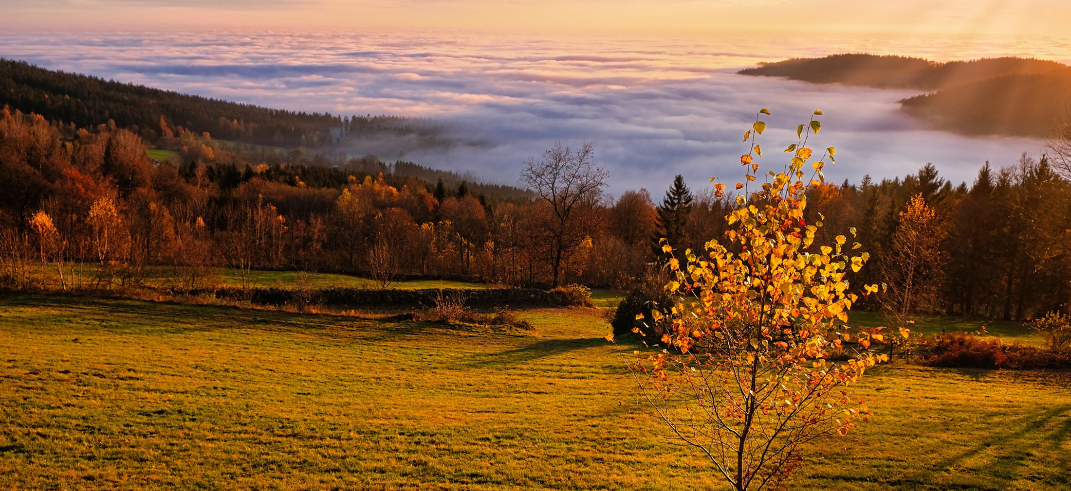 McGriff Funeral Homes Louisville IL funeral home and cremation