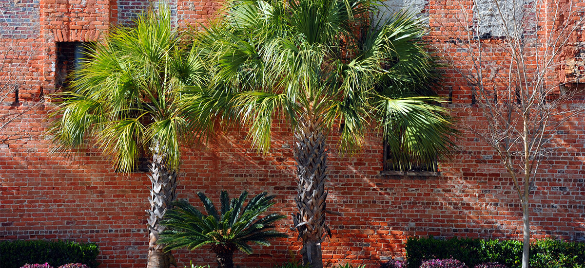 Myers Mortuary & Cremation Services Columbia SC Funeral Home and Cremation