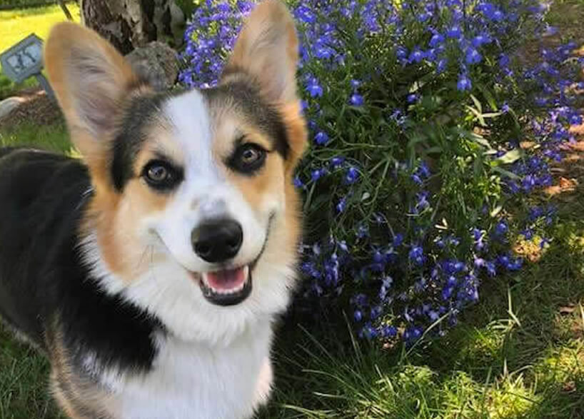 Mackey Funeral Home Middleton MA funeral home and cremation