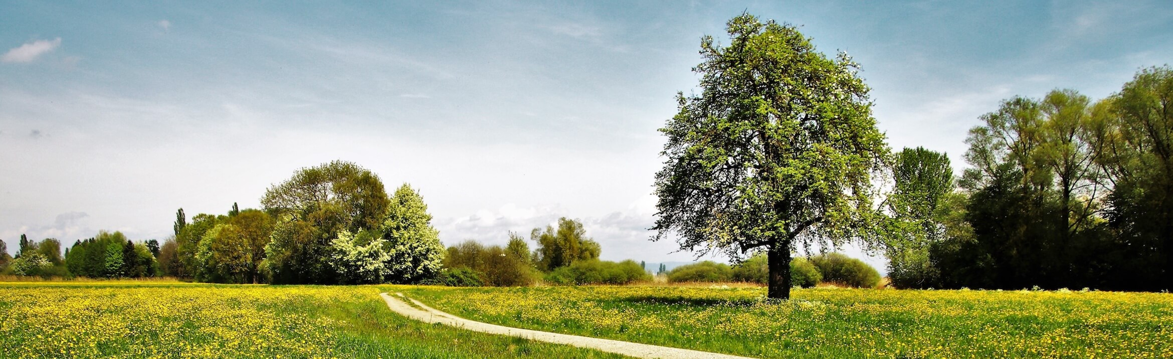 NieburgVitt, Miller Funeral Home Washington MO funeral home and cremation