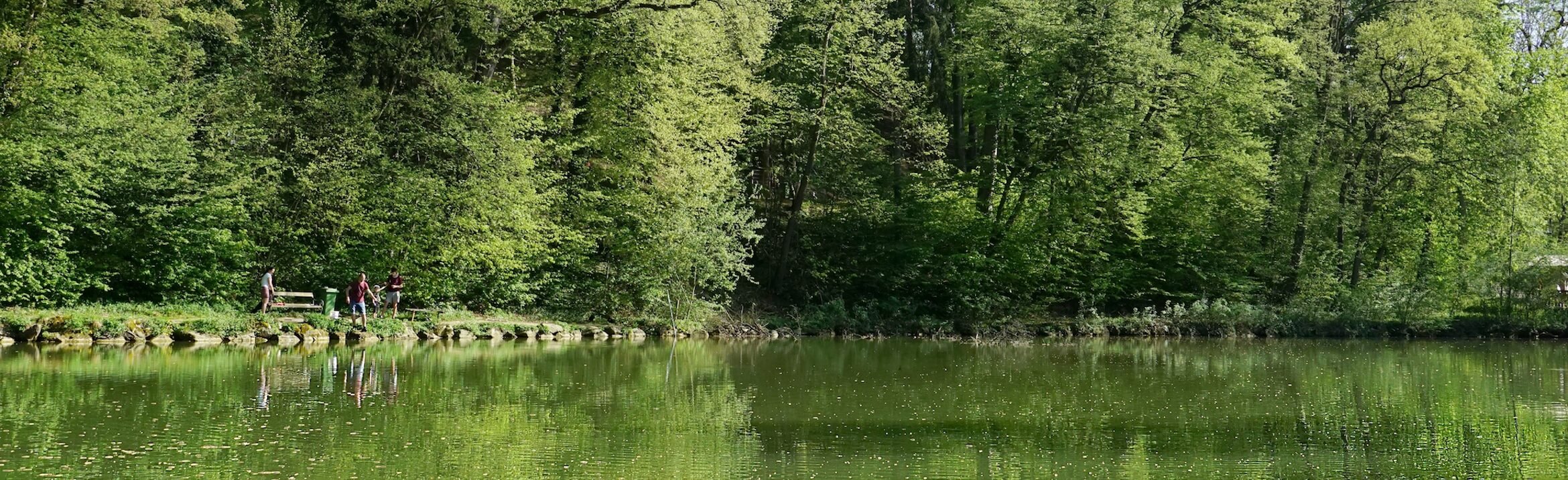 NieburgVitt, Miller Funeral Home Washington MO funeral home and cremation