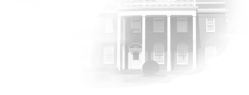 site image