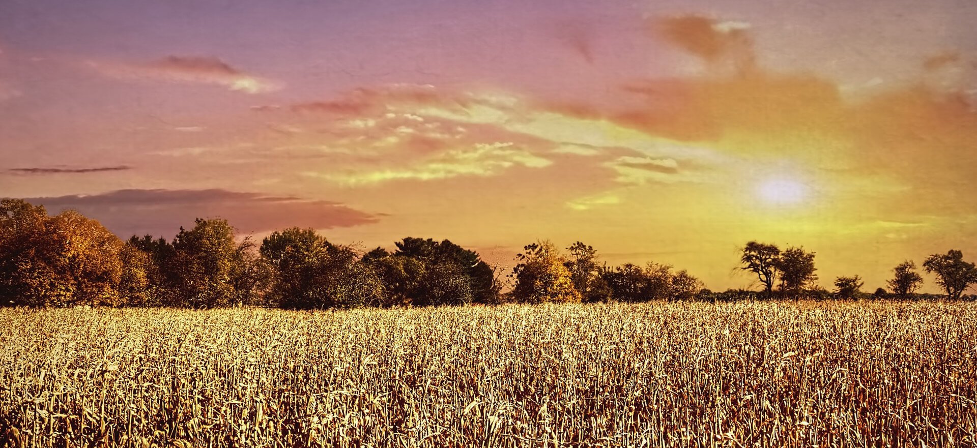 Murray Funeral Home Creston OH funeral home and cremation