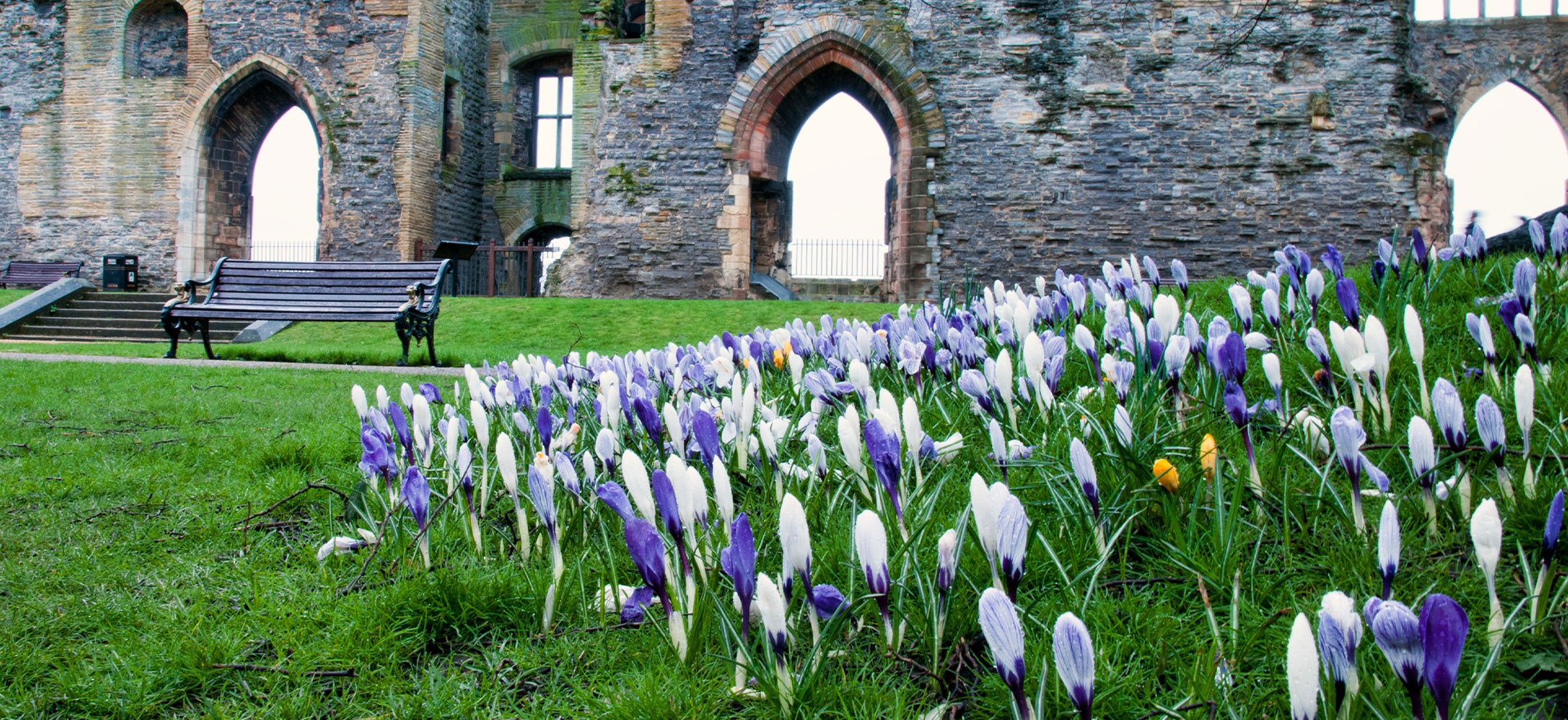 Norman L. Waterman Funeral Home, Inc. Newark NY funeral home and