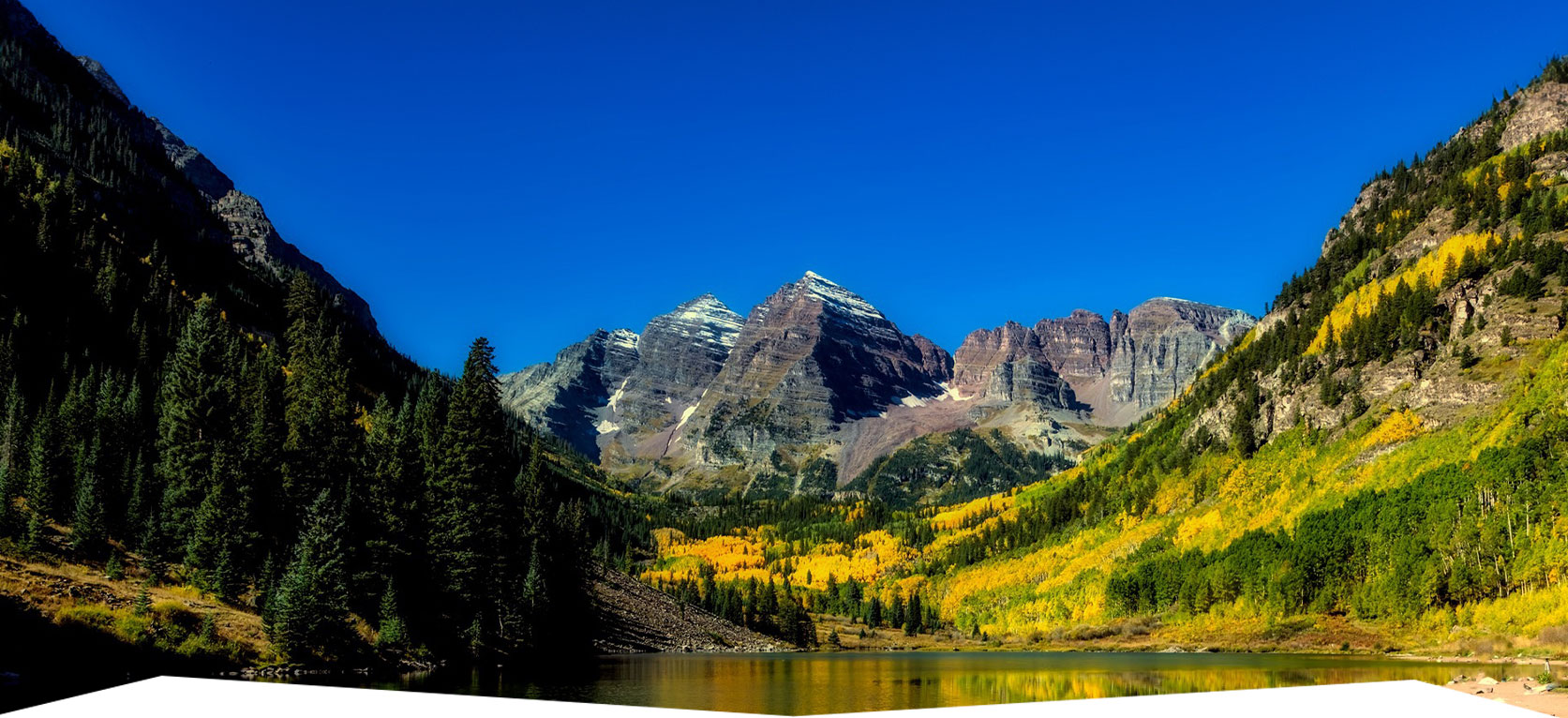 Header Graphic