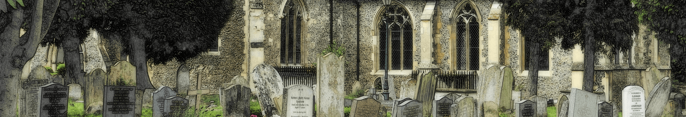 site image