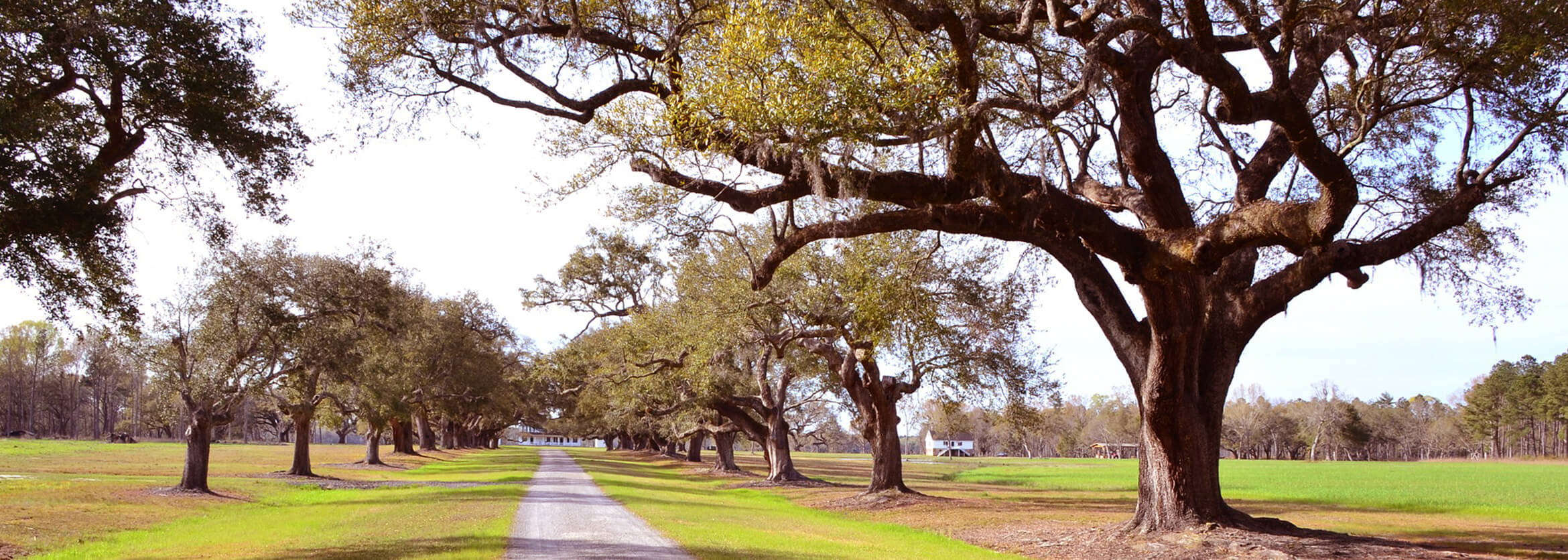 Pamplico Funeral Parlor LLC Pamplico SC funeral home and cremation