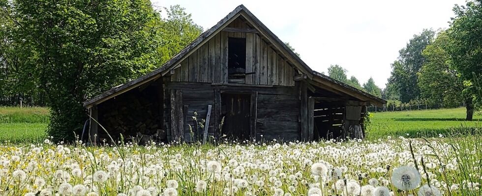 nursing home carthage nc