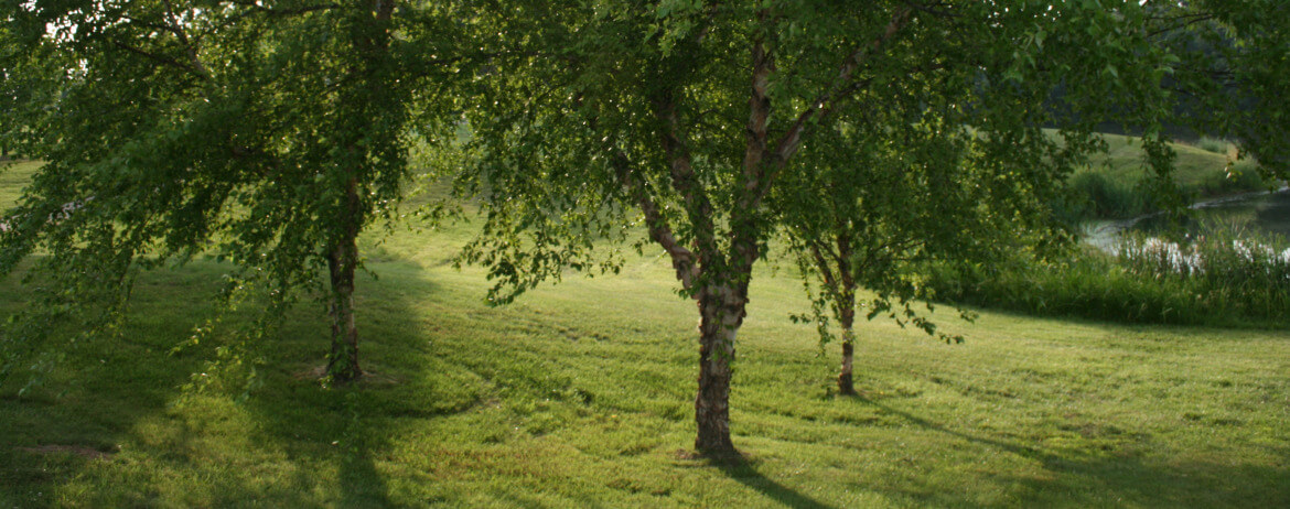 Quernheim Funeral Home | Waterloo IL funeral home and cremation