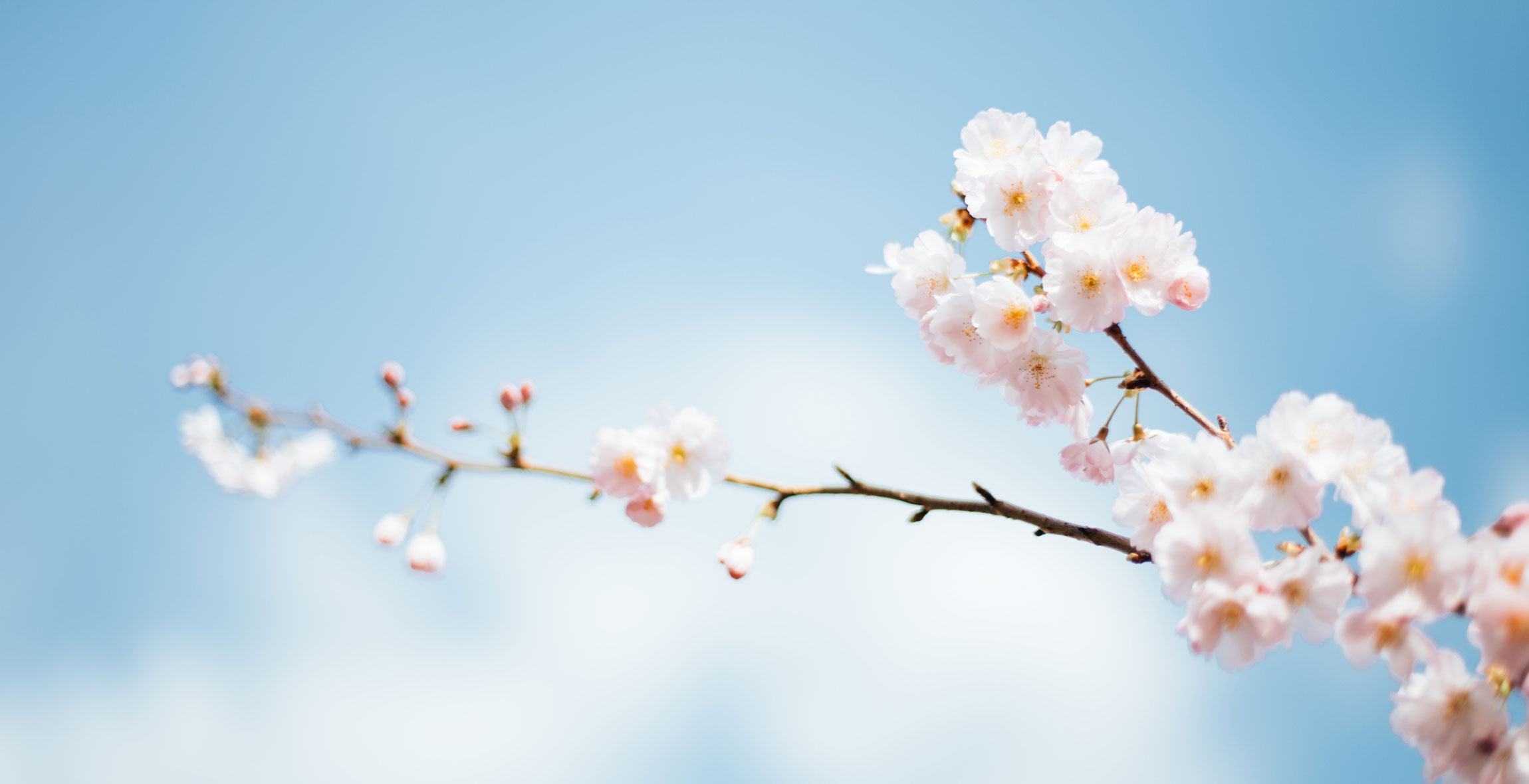 Roberts Funeral home in Wellsburg, NY