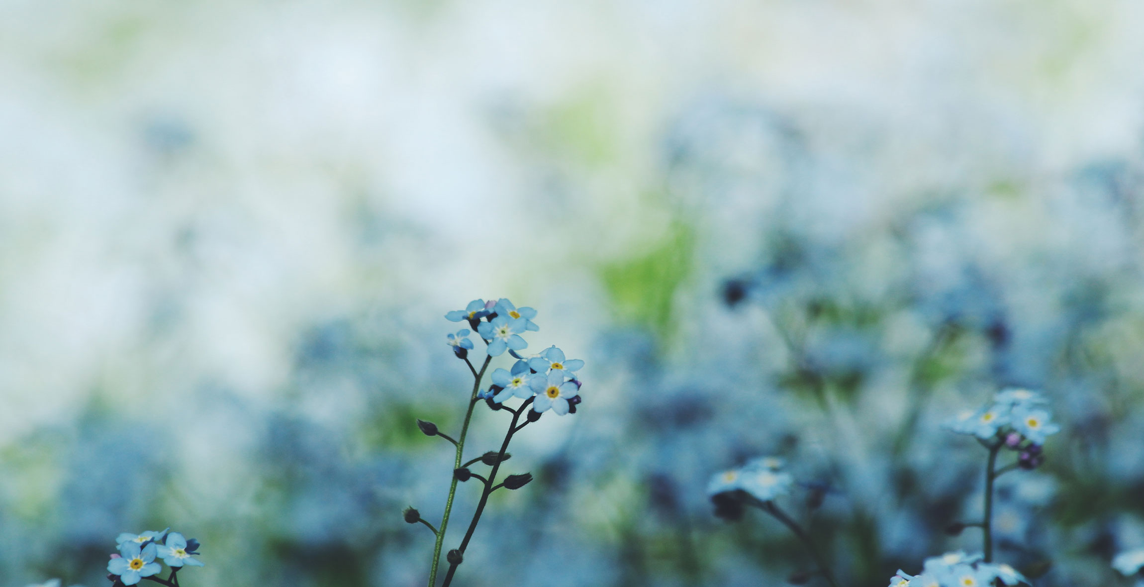 Roberts Funeral home in Wellsburg, NY