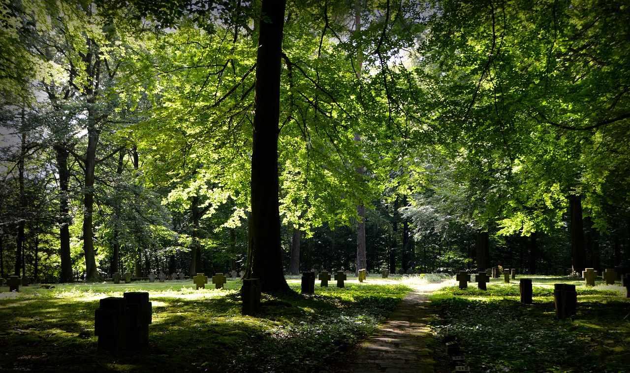 site image