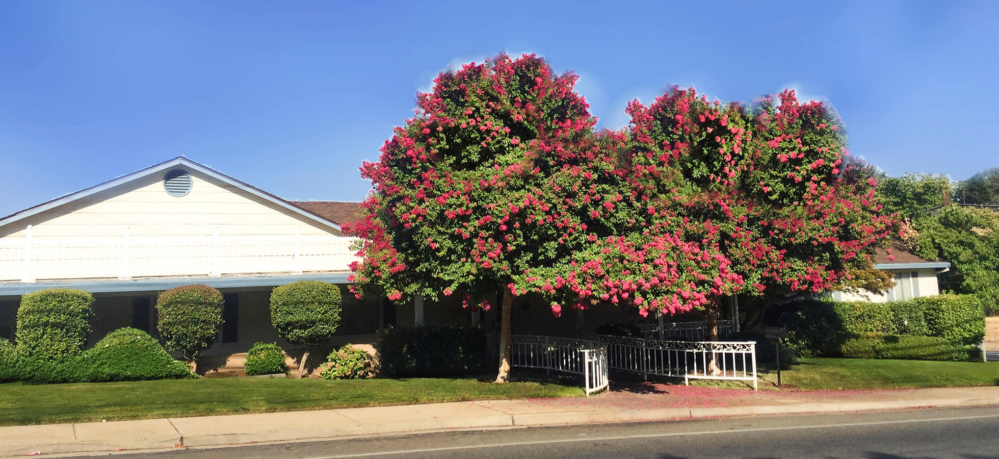 Rose Chapel Mortuary and Crematory Paradise CA funeral home and cremation