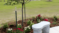 site image