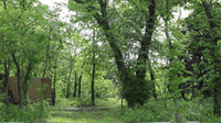 site image