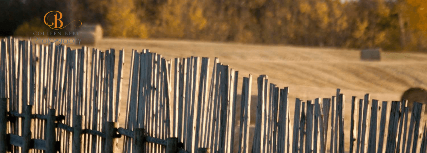 reflections funeral home