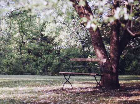 site image