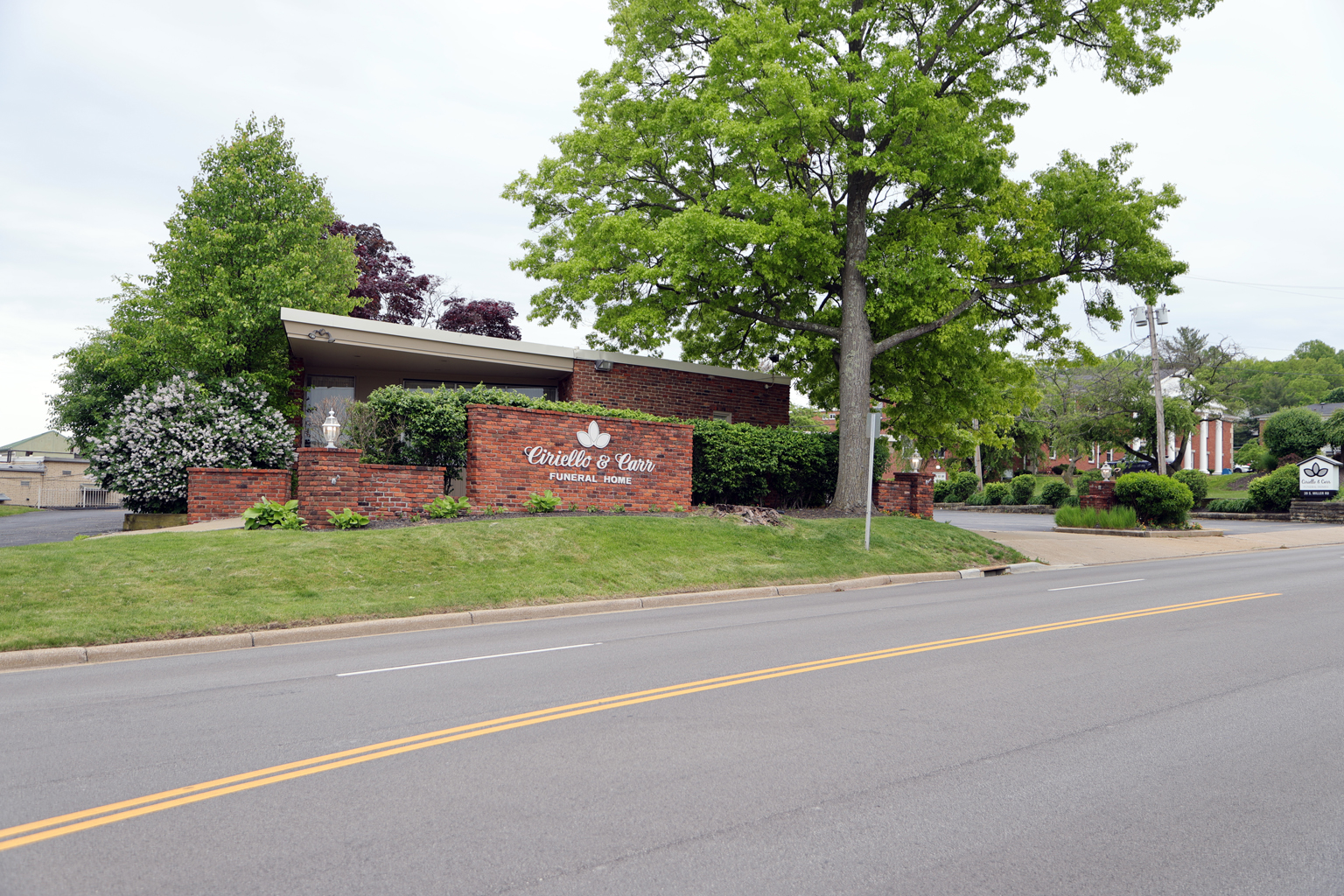 site image
