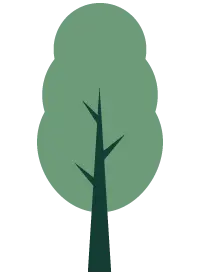 site image