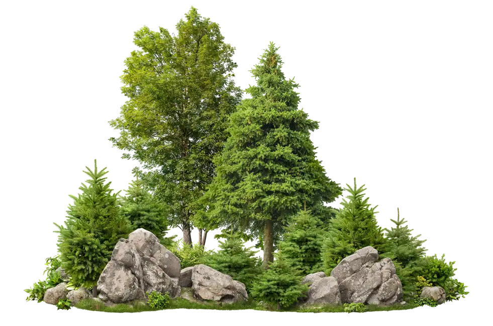 site image