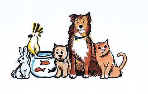 heavenly pet cremation