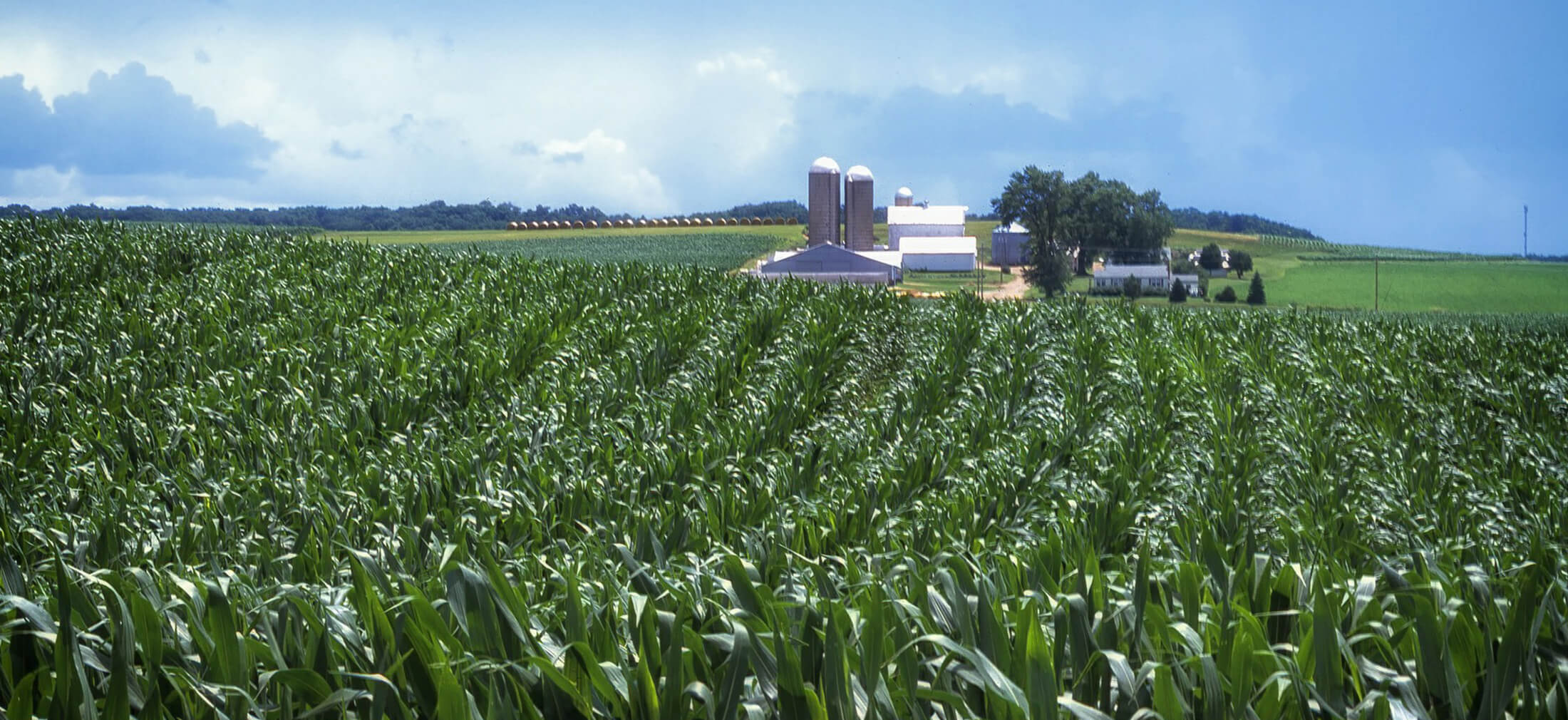 StaufferBreznik Funeral Home Ringtown PA funeral home and cremation