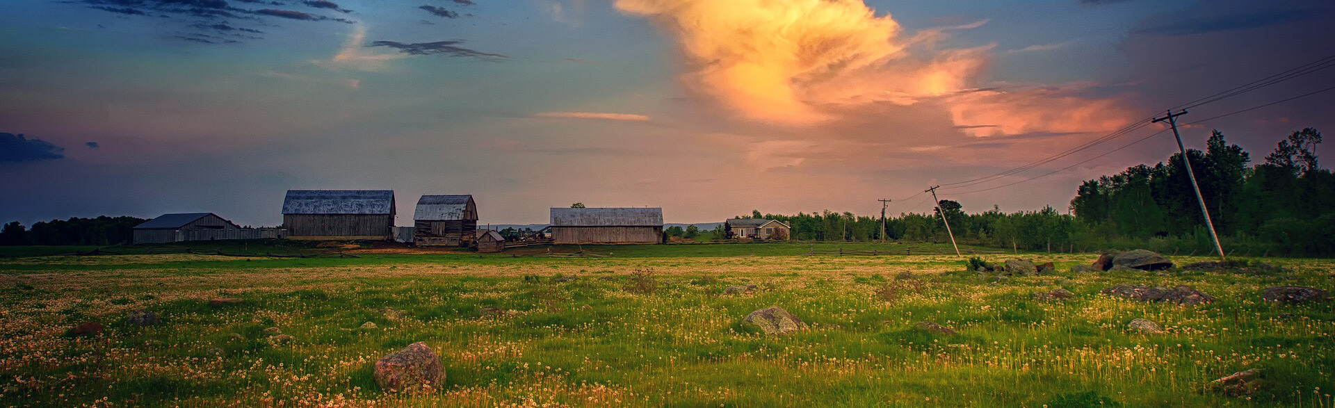Saunders & McFarlin Funeral Home Harvard IL funeral home and cremation
