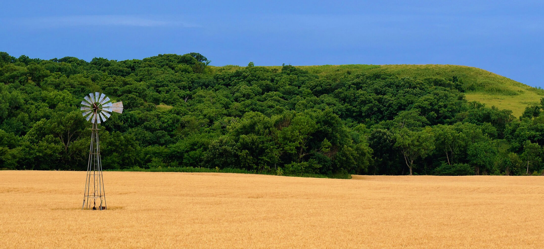 Serenity Funeral Home LLC | Kansas City MO funeral home and cremation