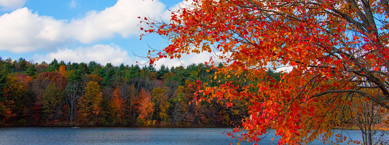 Scanlon Funeral Homes Croghan NY funeral home and cremation