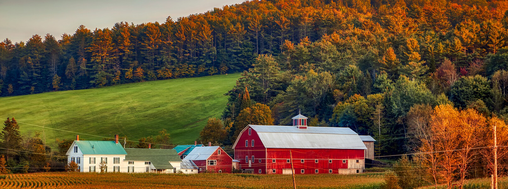 Scanlon Funeral Homes Croghan NY funeral home and cremation