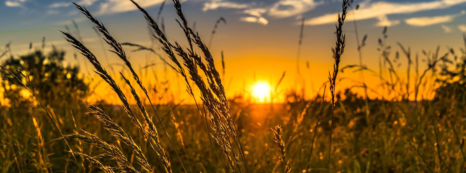 Scanlon Funeral Homes Croghan NY funeral home and cremation