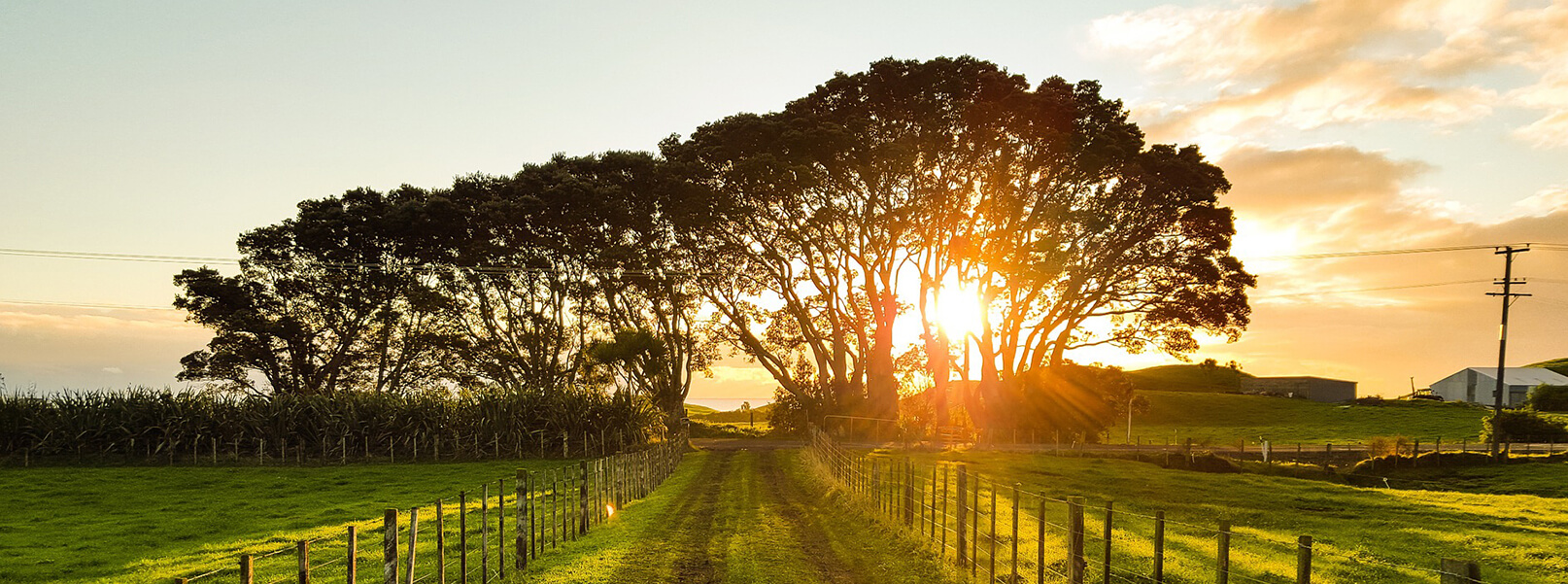 Scanlon Funeral Homes Croghan NY funeral home and cremation