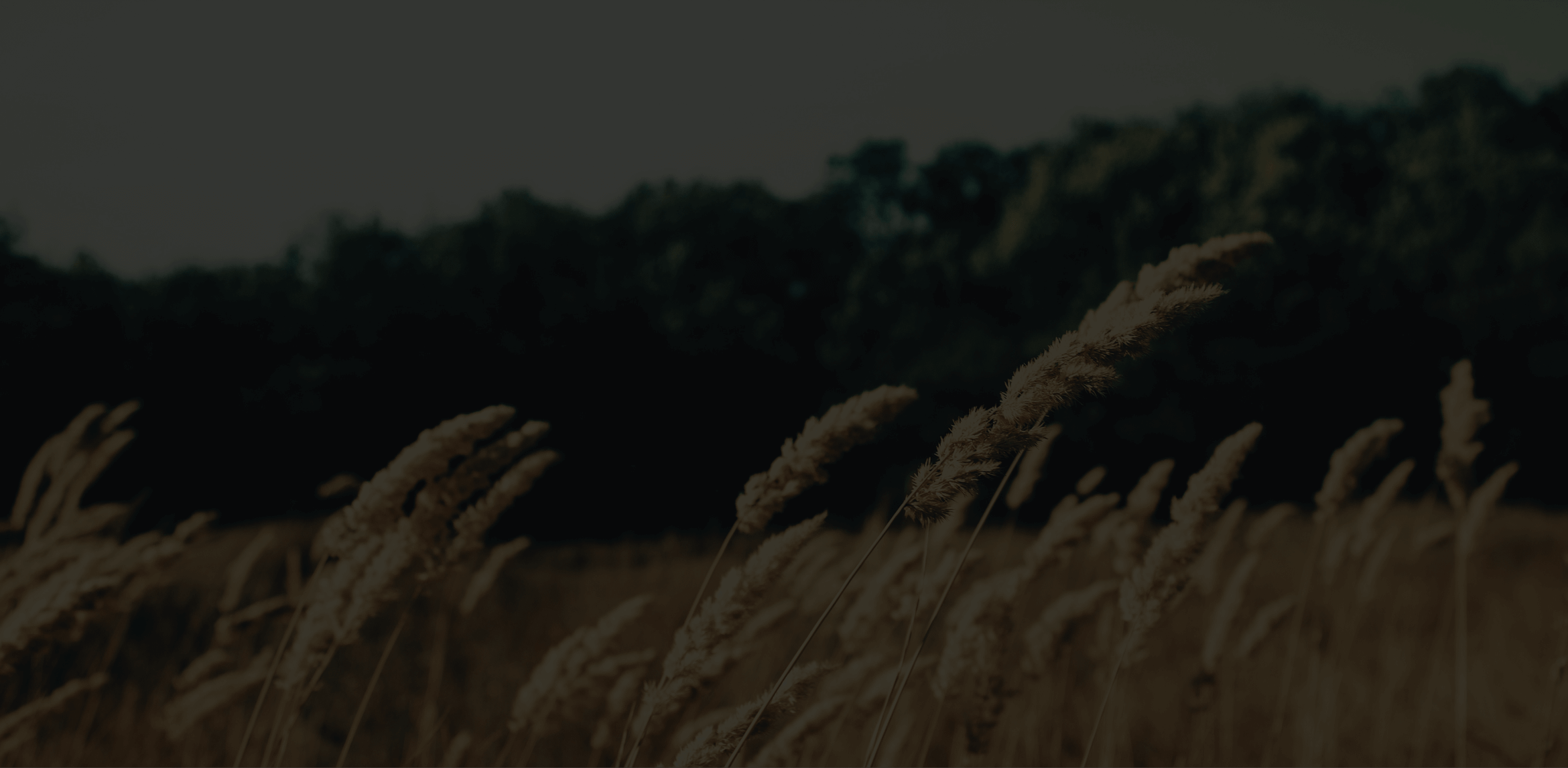 BowserOndriezek Funeral & Cremation Nanty Glo PA funeral home and