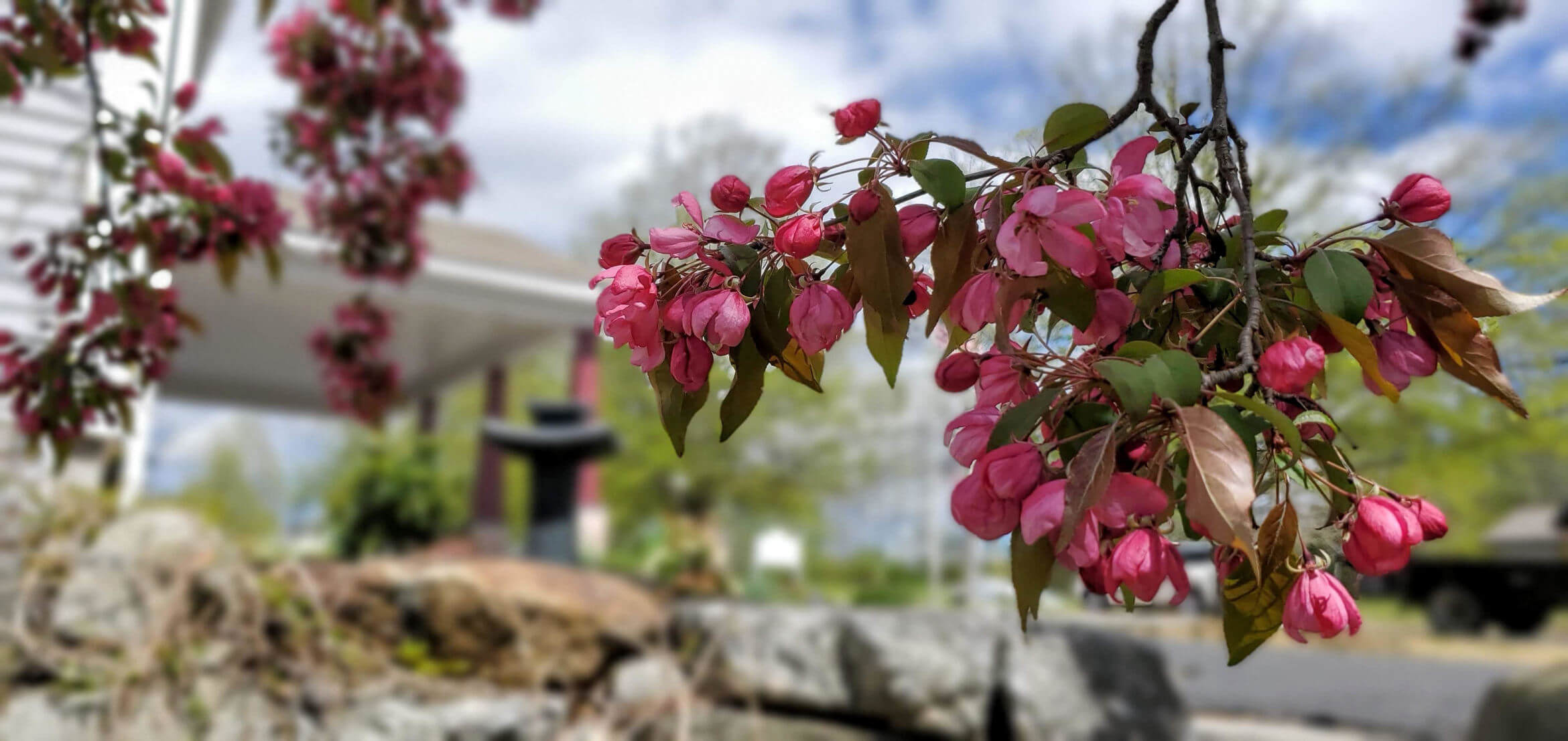 StrongHancock Funeral Home Damariscotta ME funeral home and cremation