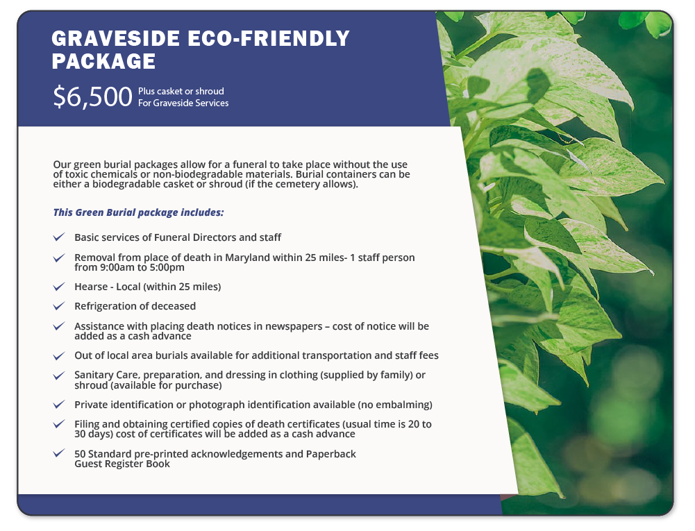 Pricing and Packages