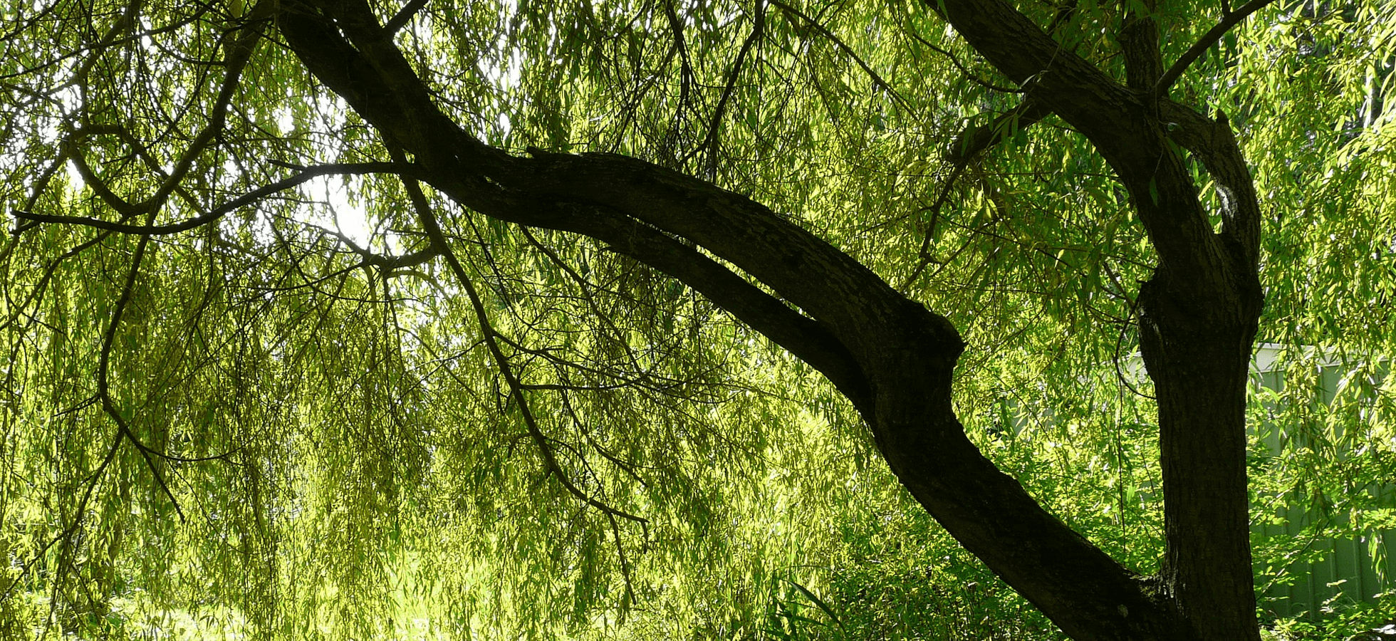 S.L. Mclaughlin Funeral Home Albany NY funeral home and cremation