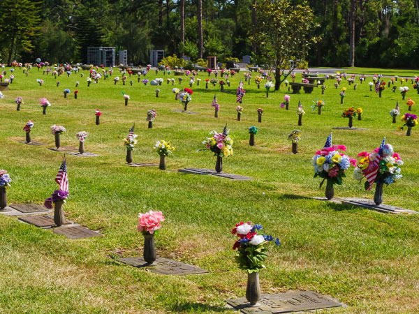 site image