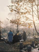 site image