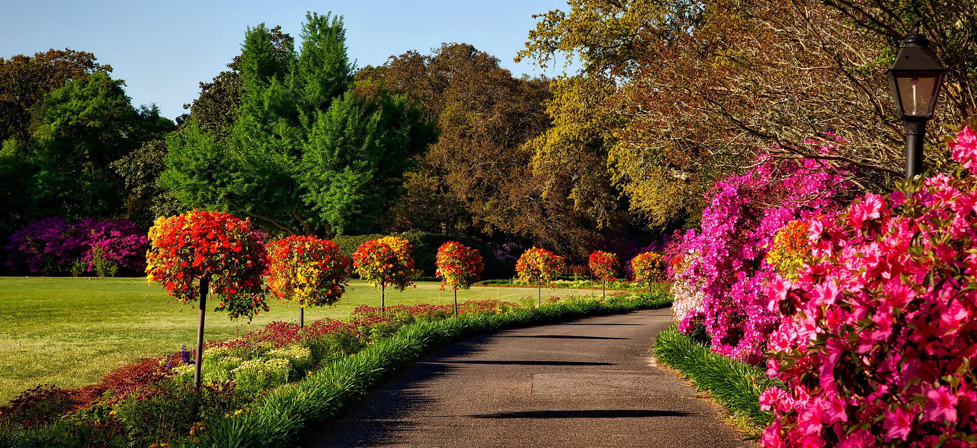 Saints Funeral Home Florence AL funeral home and cremation