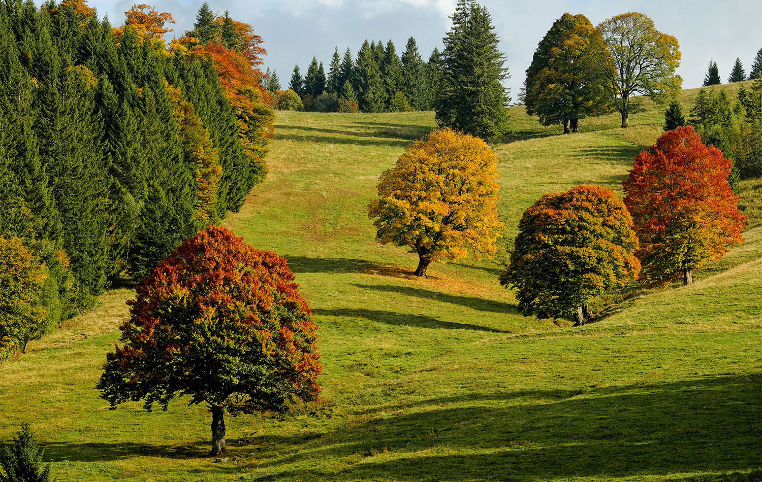 Schmidt Family Funeral Homes Atlantic IA funeral home and cremation