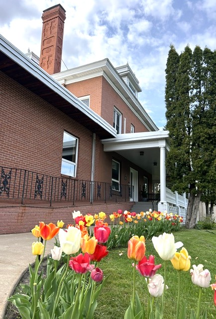 site image