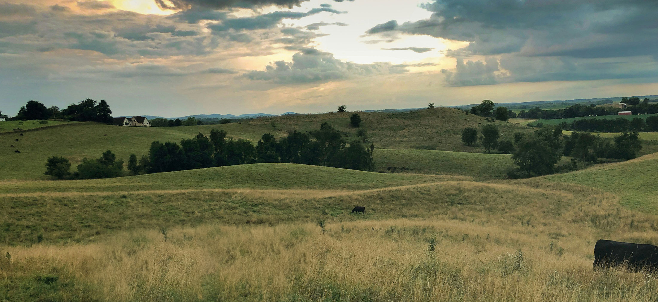 Ross Frash Funeral Homes Crooksville OH funeral home and cremation