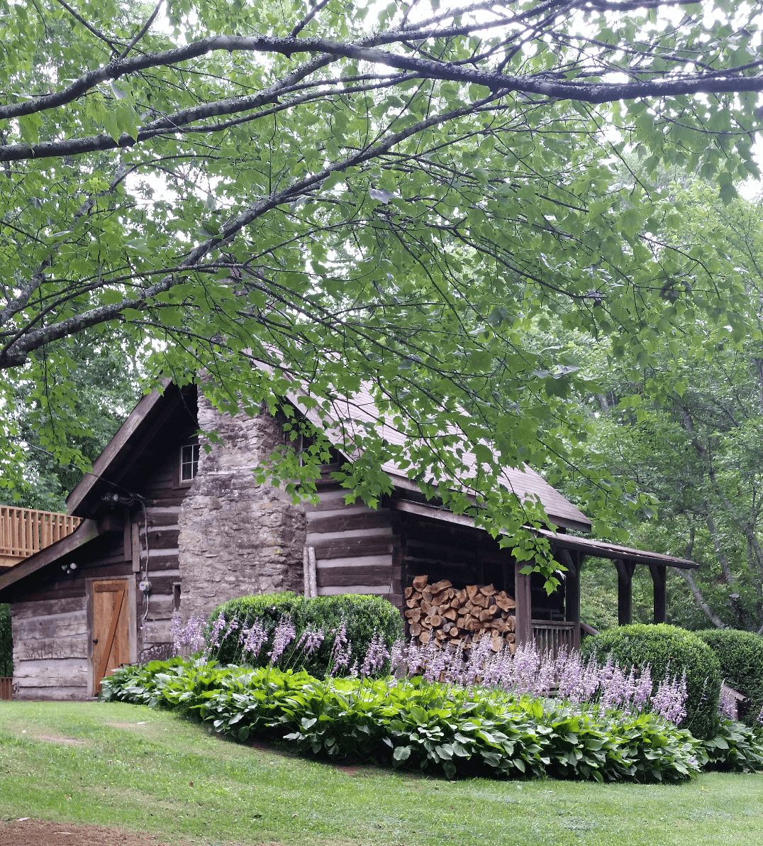 site image