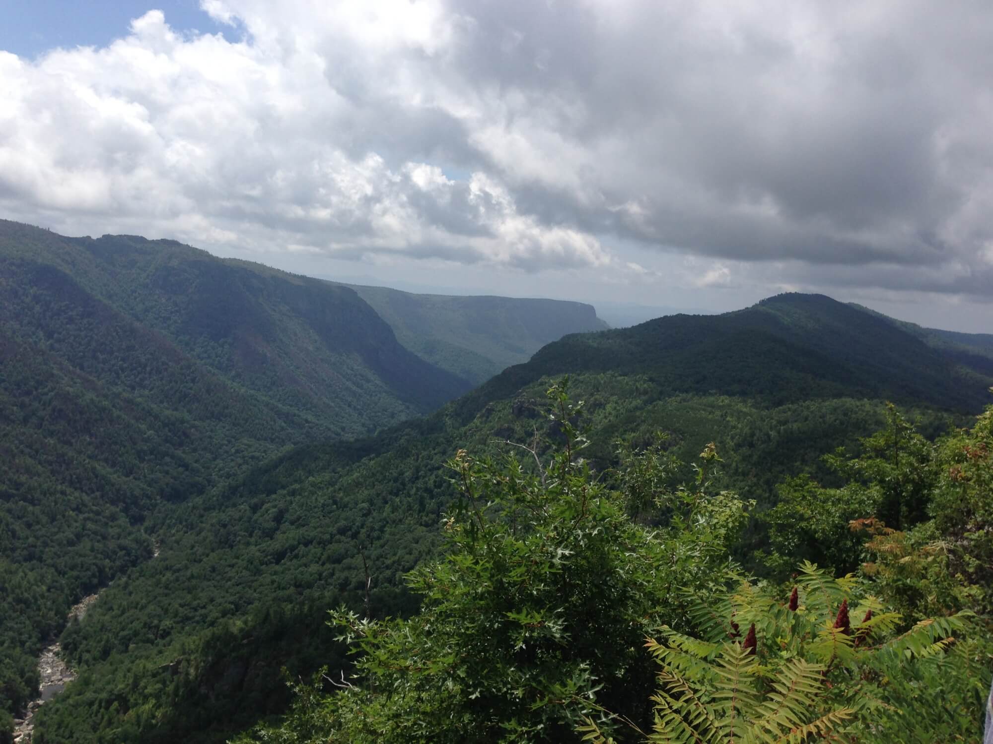 site image
